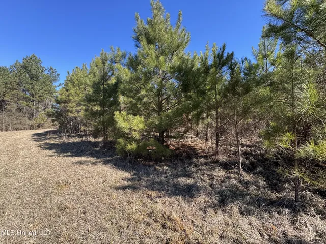 $230,000 | 9182 Highway 397, Preston, MS 39354