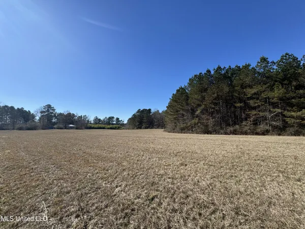 $230,000 | 9182 Highway 397, Preston, MS 39354