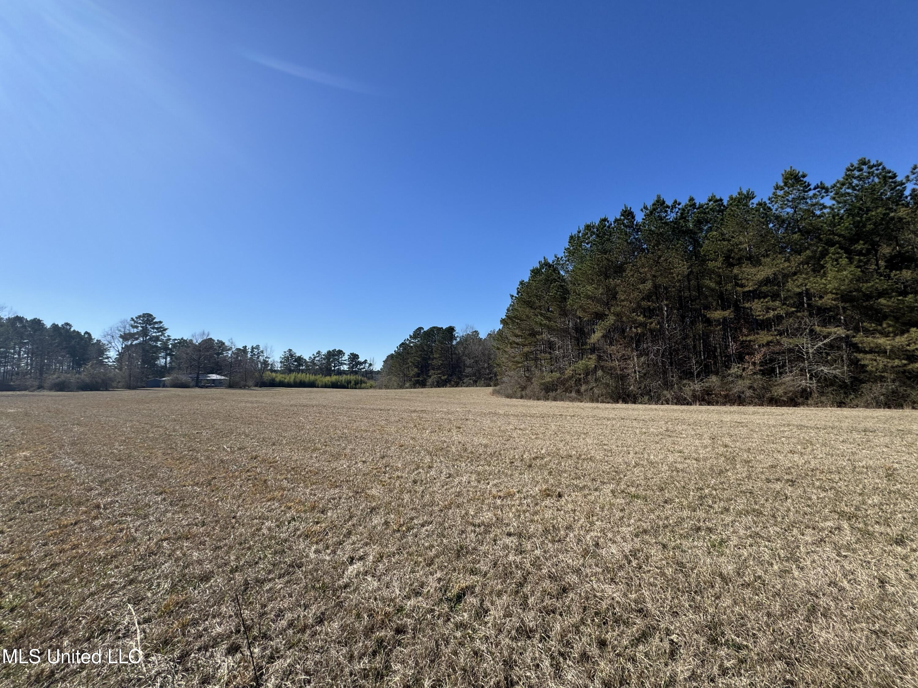 9182 Highway 397 Preston, MS 39354 - Photo 86 of 93 IMG_8168