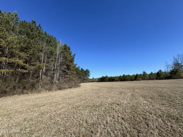 $230,000 | 9182 Highway 397, Preston, MS 39354