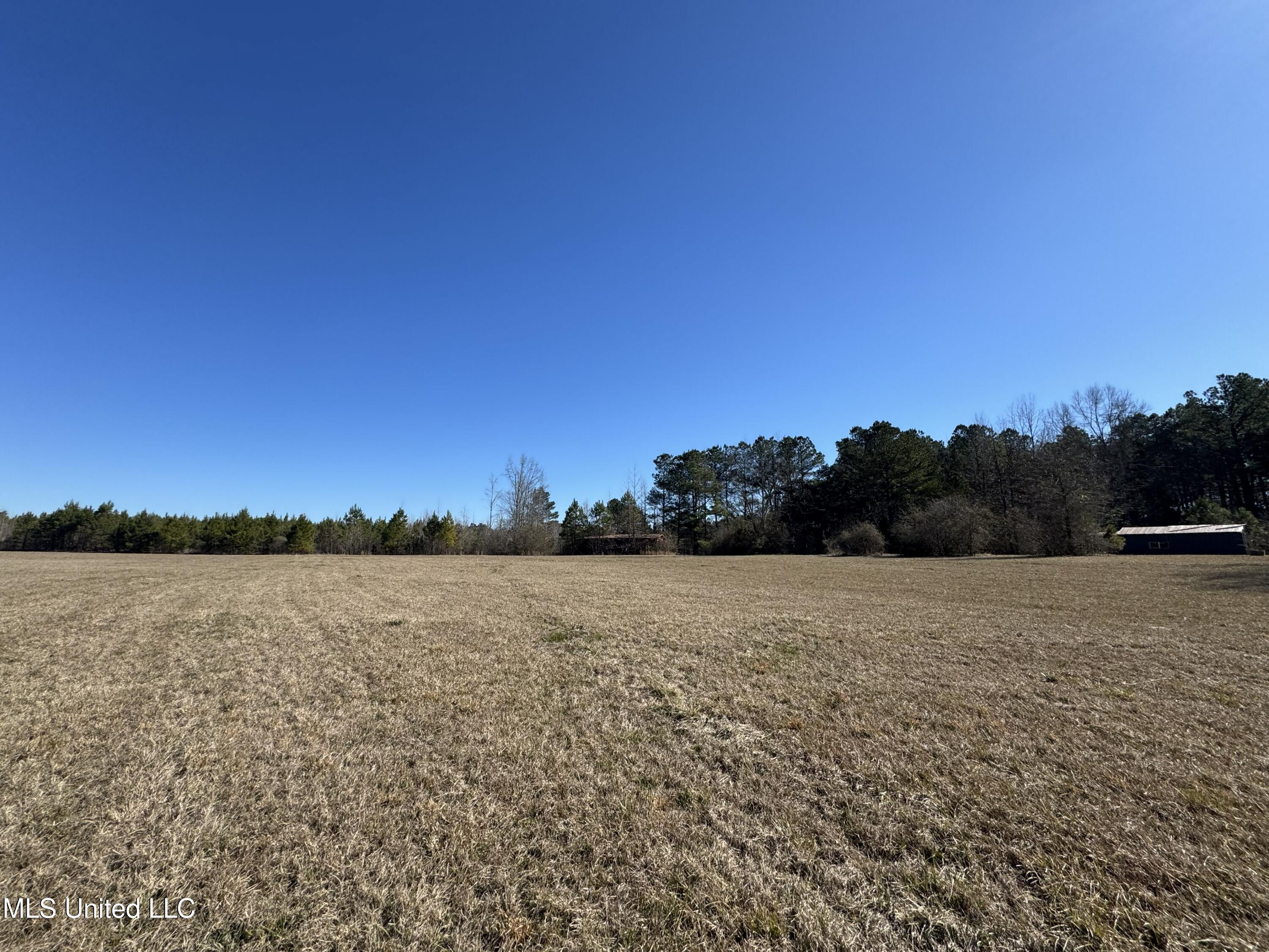 9182 Highway 397 Preston, MS 39354 - Photo 88 of 93 IMG_8161