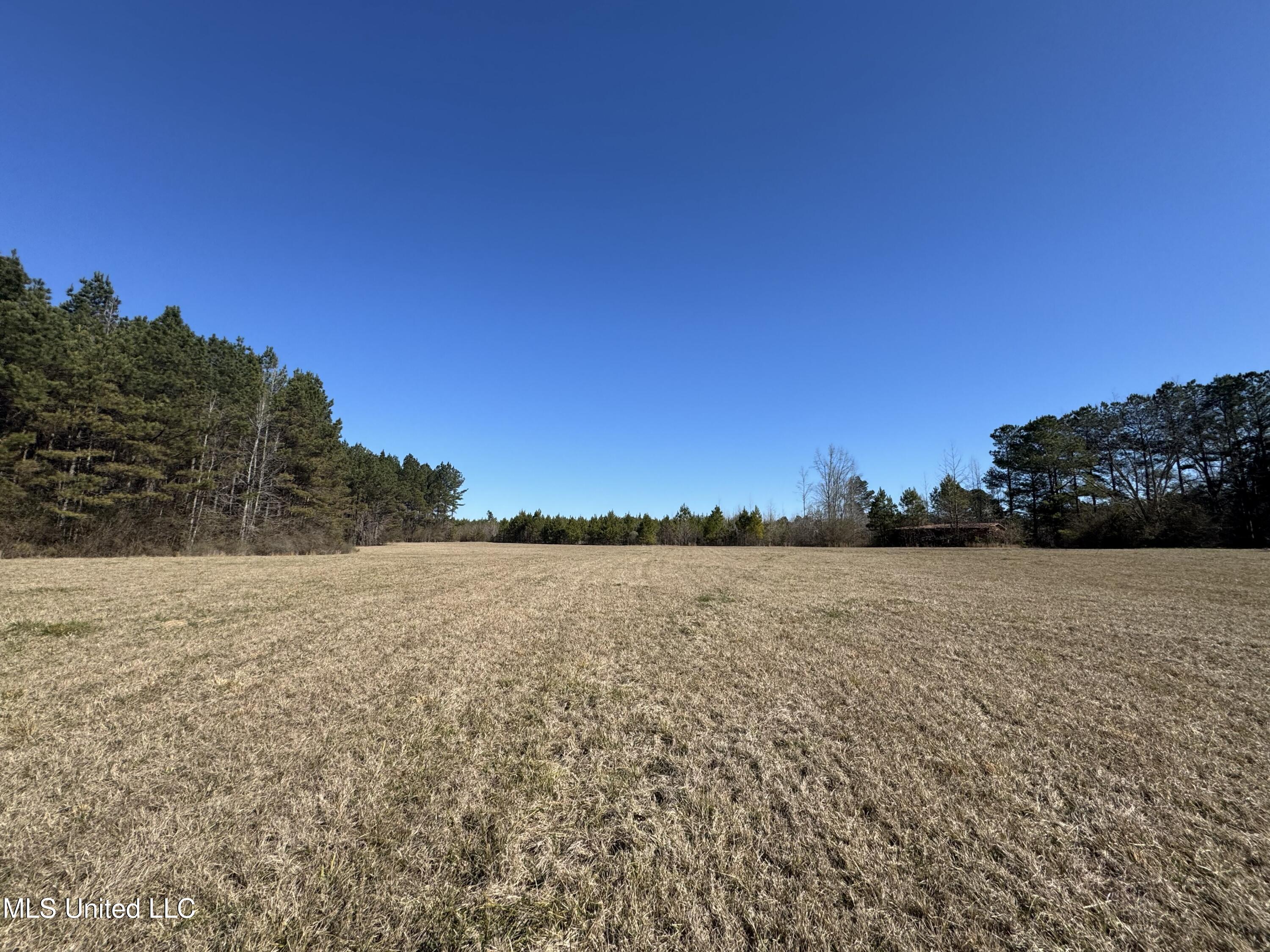 9182 Highway 397 Preston, MS 39354 - Photo 89 of 93 IMG_8158