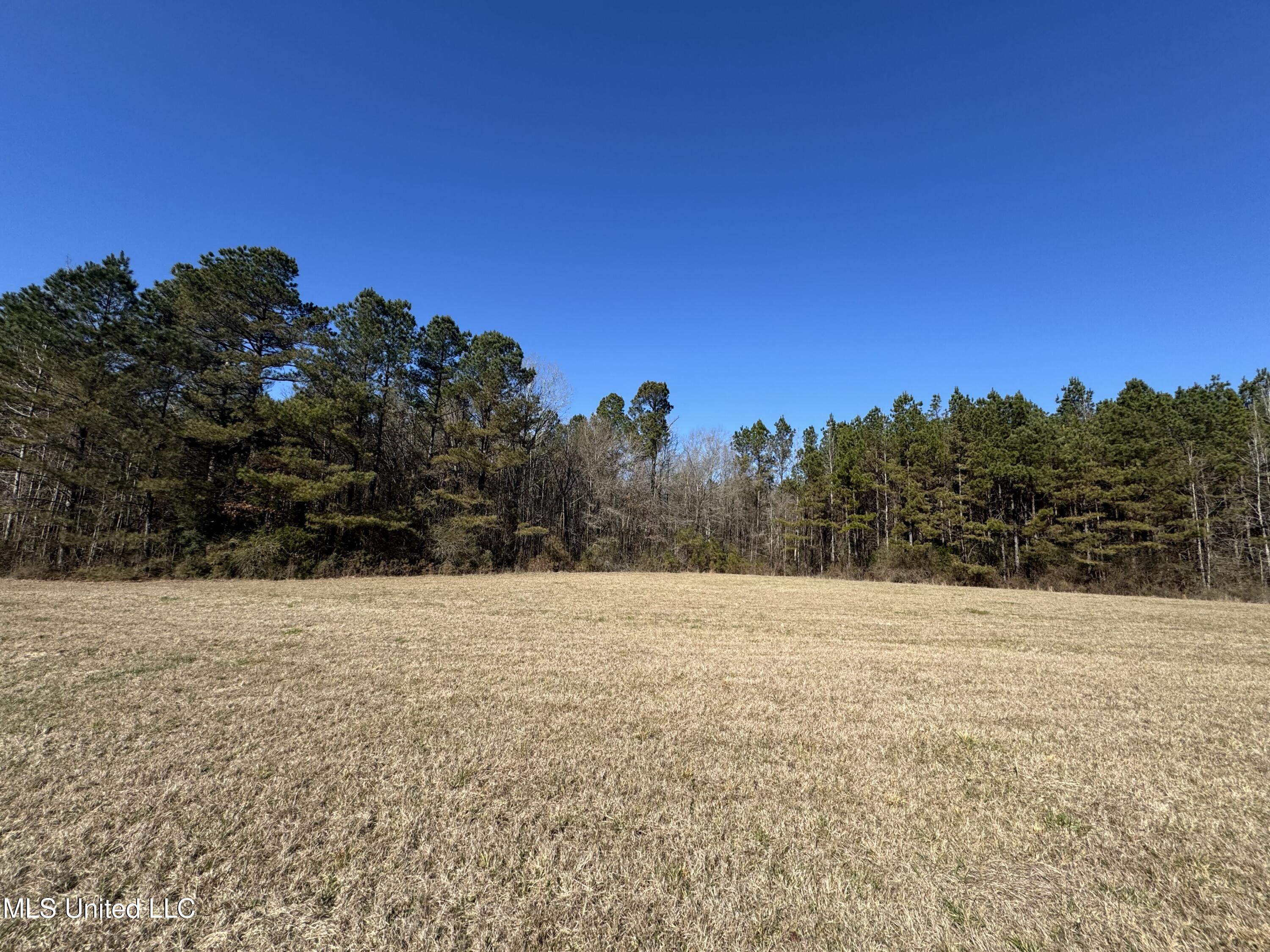 9182 Highway 397 Preston, MS 39354 - Photo 90 of 93 IMG_8153