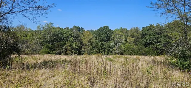 $99,900 | 0 Brushy Creek Road, Houston, MO 65483