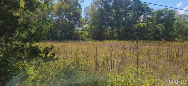 $99,900 | 0 Brushy Creek Road, Houston, MO 65483