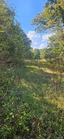 $99,900 | 0 Brushy Creek Road, Houston, MO 65483
