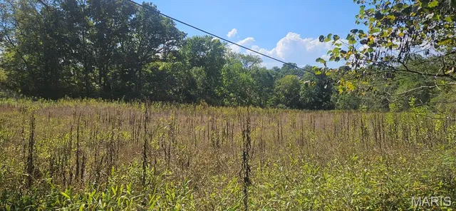 $99,900 | 0 Brushy Creek Road, Houston, MO 65483