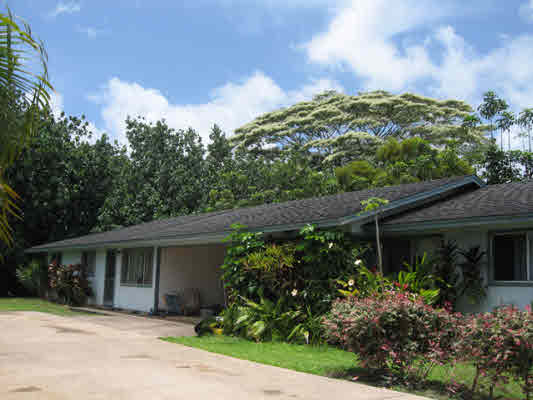 6381 Puupilo Road Kapaa, HI 96746 - Photo 1 of 13 a front view of a house with a yard