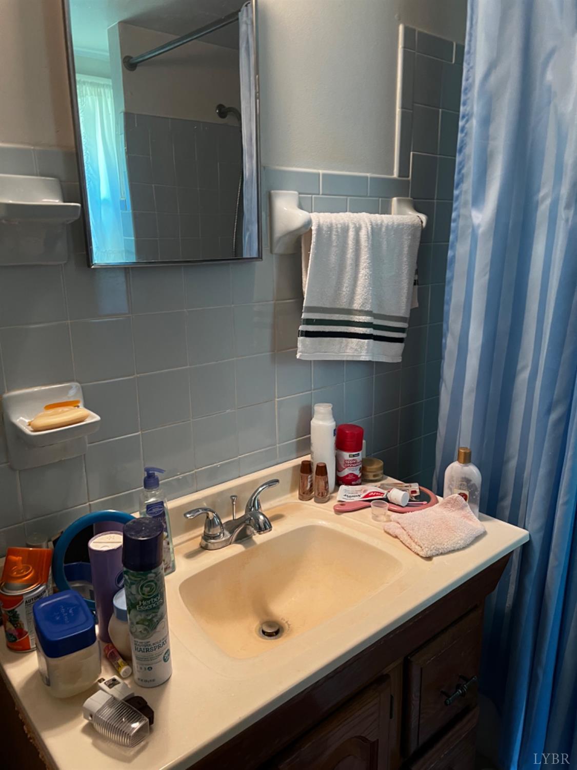 1131 Cody Road Nathalie, VA 24577 - Photo 12 of 28 a bathroom with a sink and a mirror