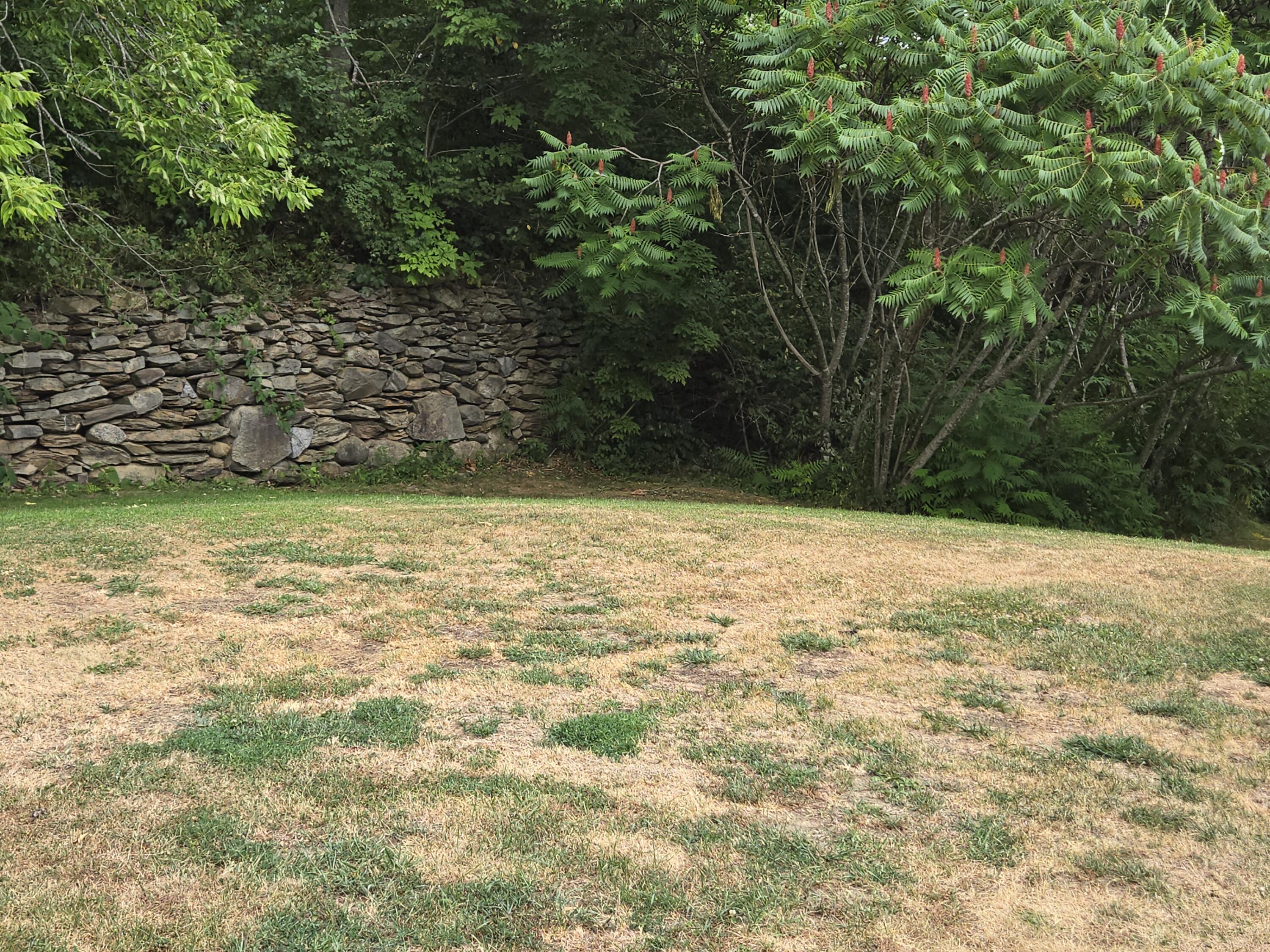 370 Mccard Road Corinth, ME 04427 - Photo 47 of 57 20250803_152111