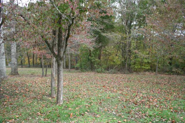 823 Burton Trail Adams, TN 37010 - Photo 13 of 13 Woooded private backyard