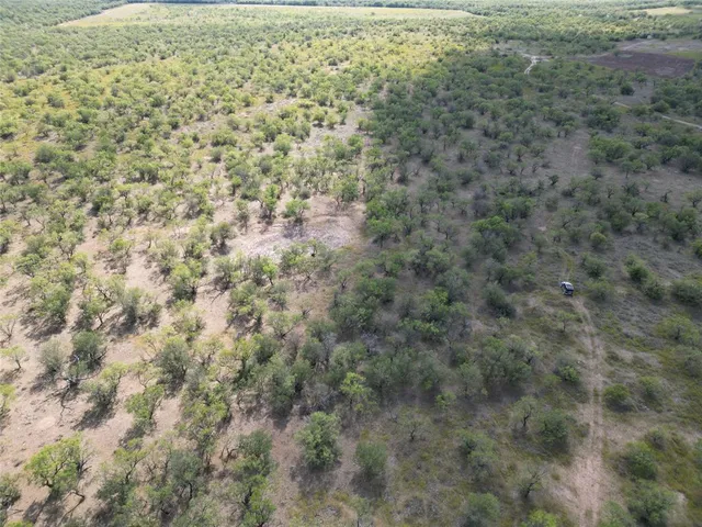 a view of a field with a tree in the background