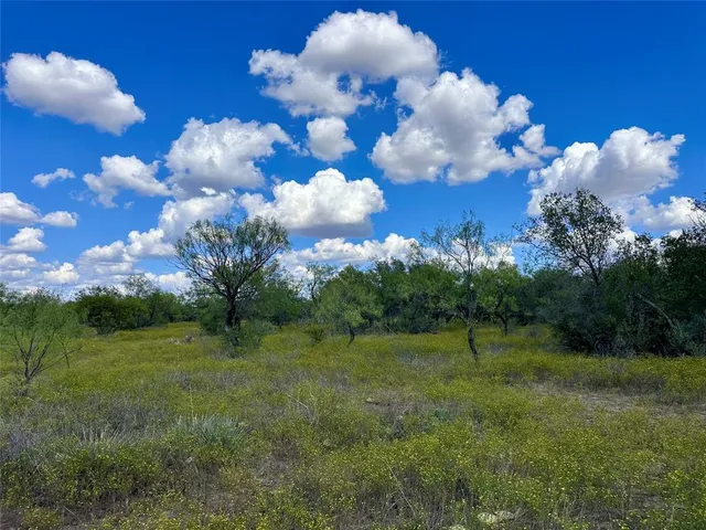 a view of a golf course with a house
