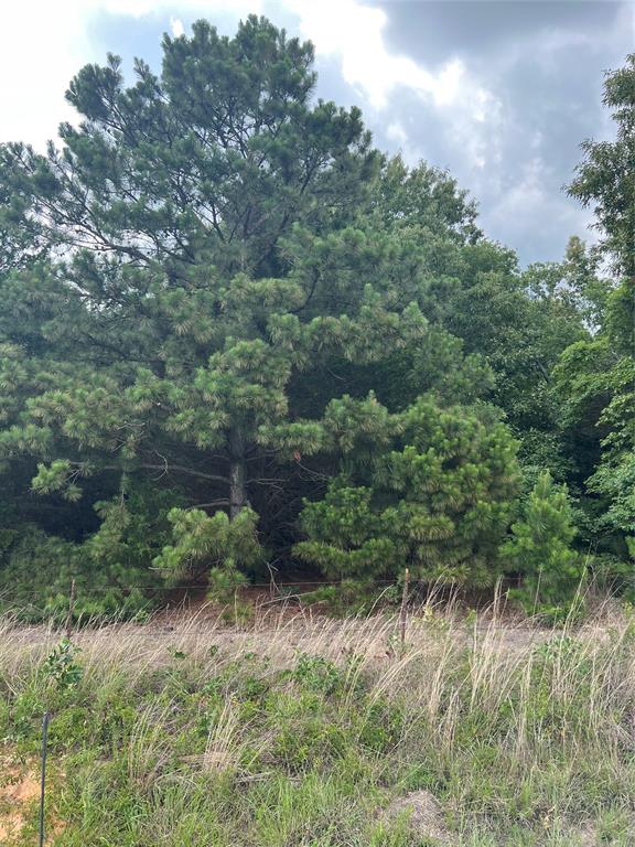 4112 VZ County Road Canton, TX 75103 - Photo 9 of 21