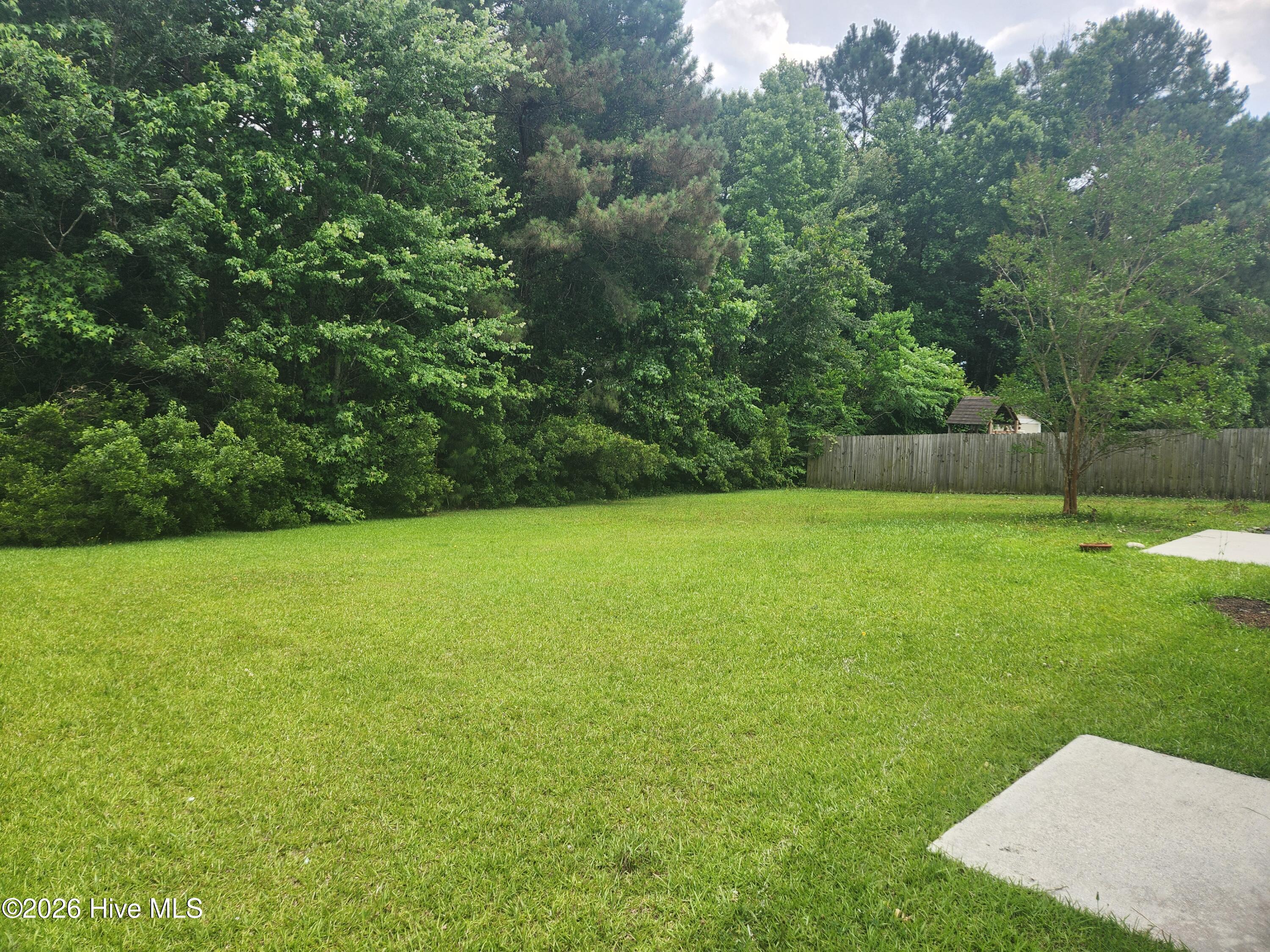 243 Parnell Road Hubert, NC 28539 - Photo 25 of 26 Back Yard 2