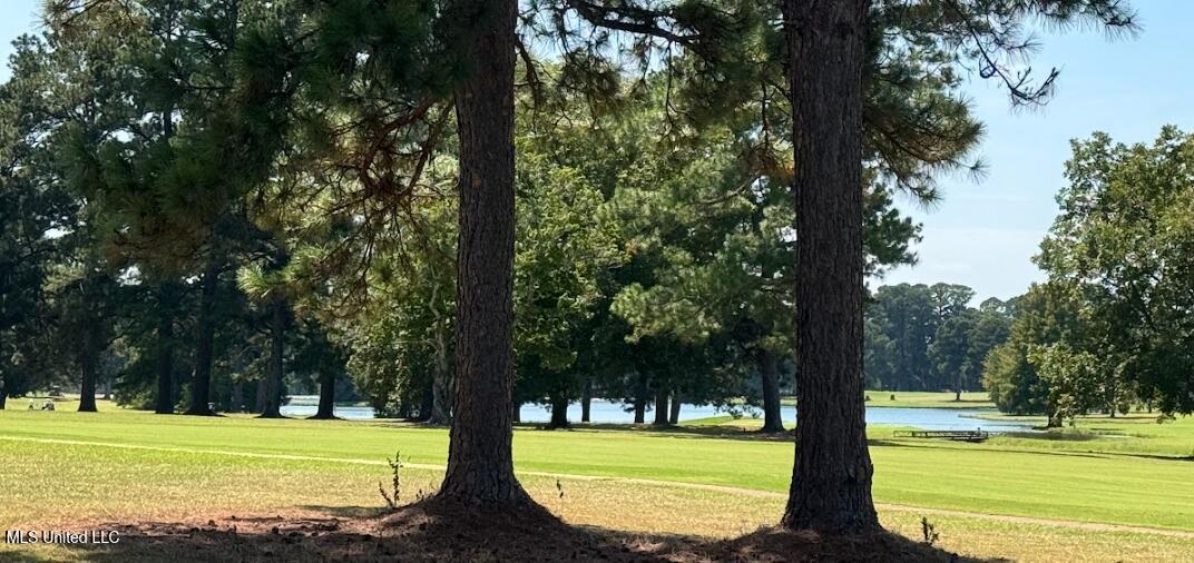 319 Glenfield Road Canton, MS 39046 - Photo 19 of 21 Golf Course