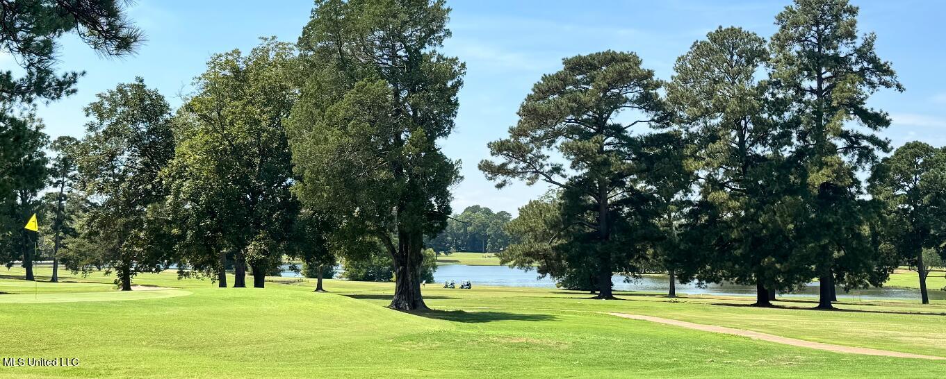 319 Glenfield Road Canton, MS 39046 - Photo 31 of 33 golf course 2