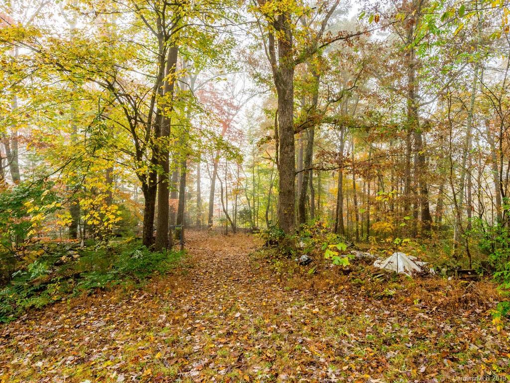 87 Youngs Gap Road Fletcher, NC 28732 - Photo 1 of 14