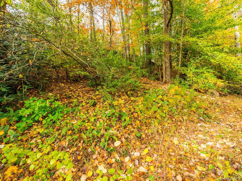 87 Youngs Gap Road Fletcher, NC 28732 - Photo 11 of 14