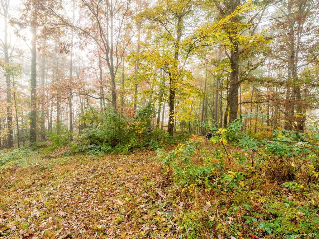 87 Youngs Gap Road Fletcher, NC 28732 - Photo 3 of 14