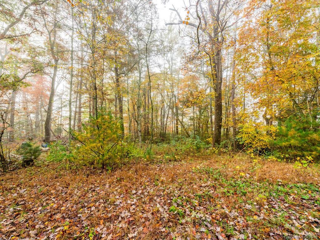 87 Youngs Gap Road Fletcher, NC 28732 - Photo 4 of 14