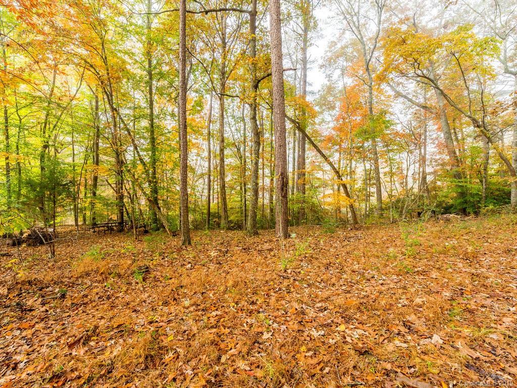 87 Youngs Gap Road Fletcher, NC 28732 - Photo 5 of 14