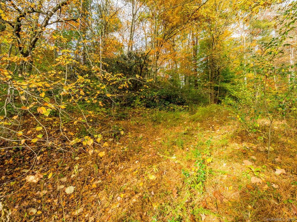 87 Youngs Gap Road Fletcher, NC 28732 - Photo 6 of 14