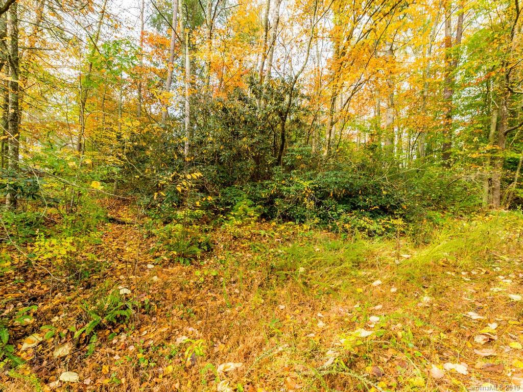 87 Youngs Gap Road Fletcher, NC 28732 - Photo 7 of 14