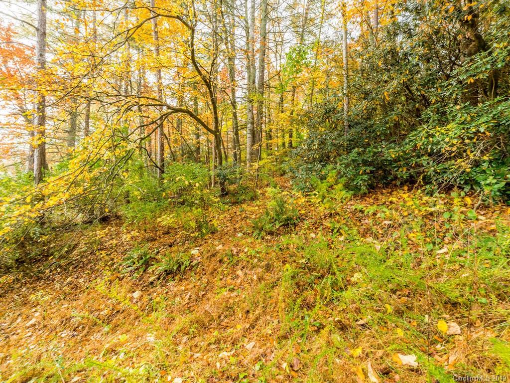 87 Youngs Gap Road Fletcher, NC 28732 - Photo 8 of 14