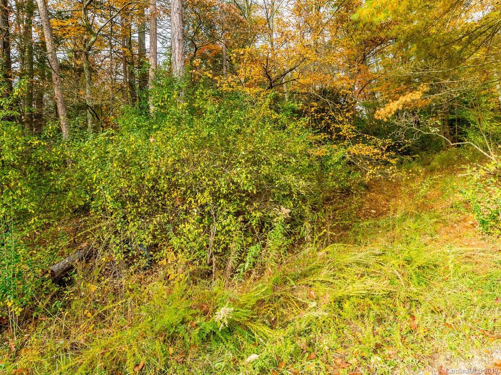 87 Youngs Gap Road Fletcher, NC 28732 - Photo 9 of 14