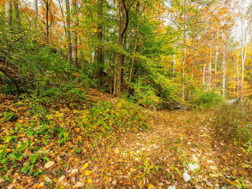 87 Youngs Gap Road Fletcher, NC 28732 - Photo 10 of 14