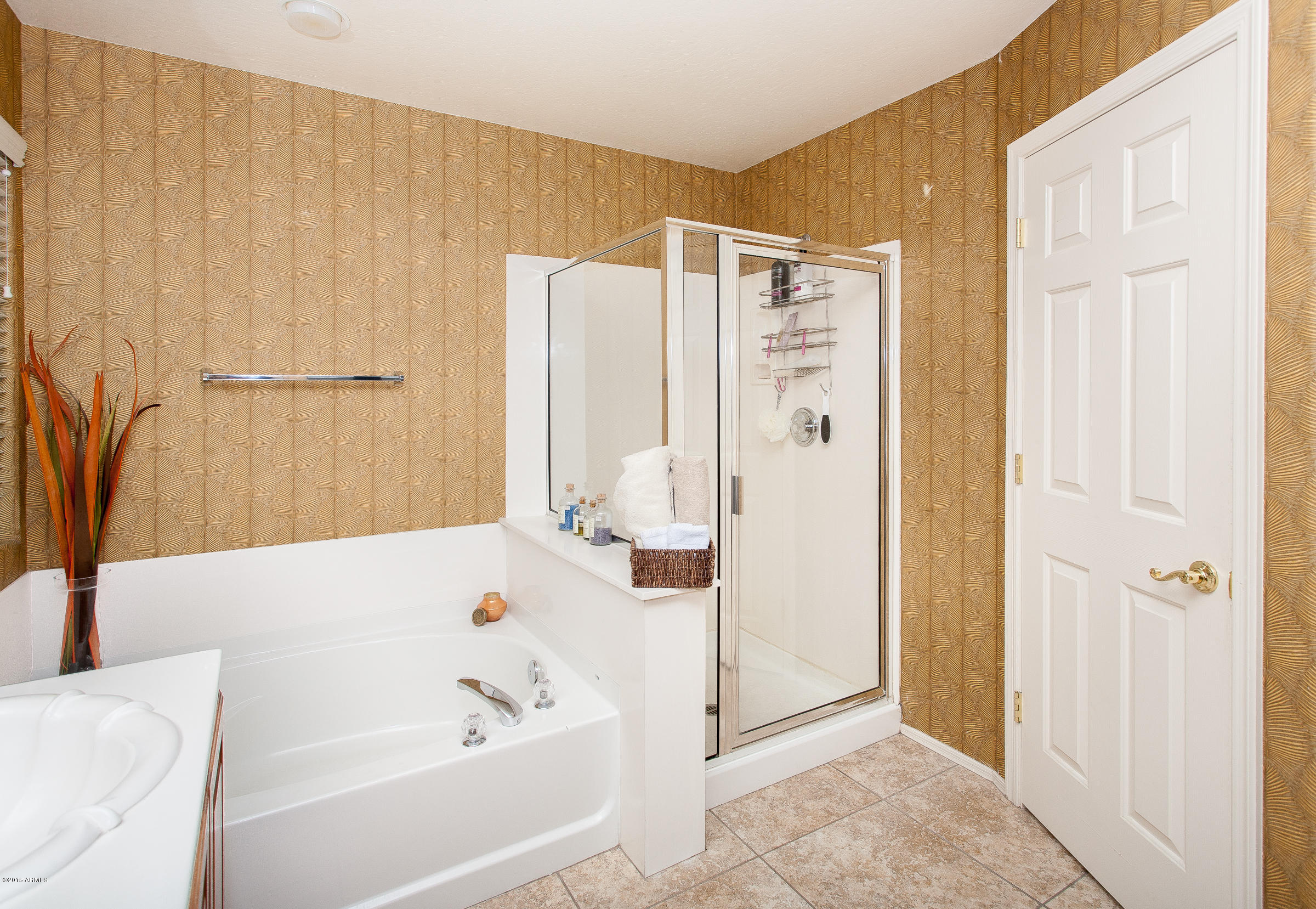2629 West Florentine Road Phoenix, AZ 85086 - Photo 22 of 45 Separate shower & tub