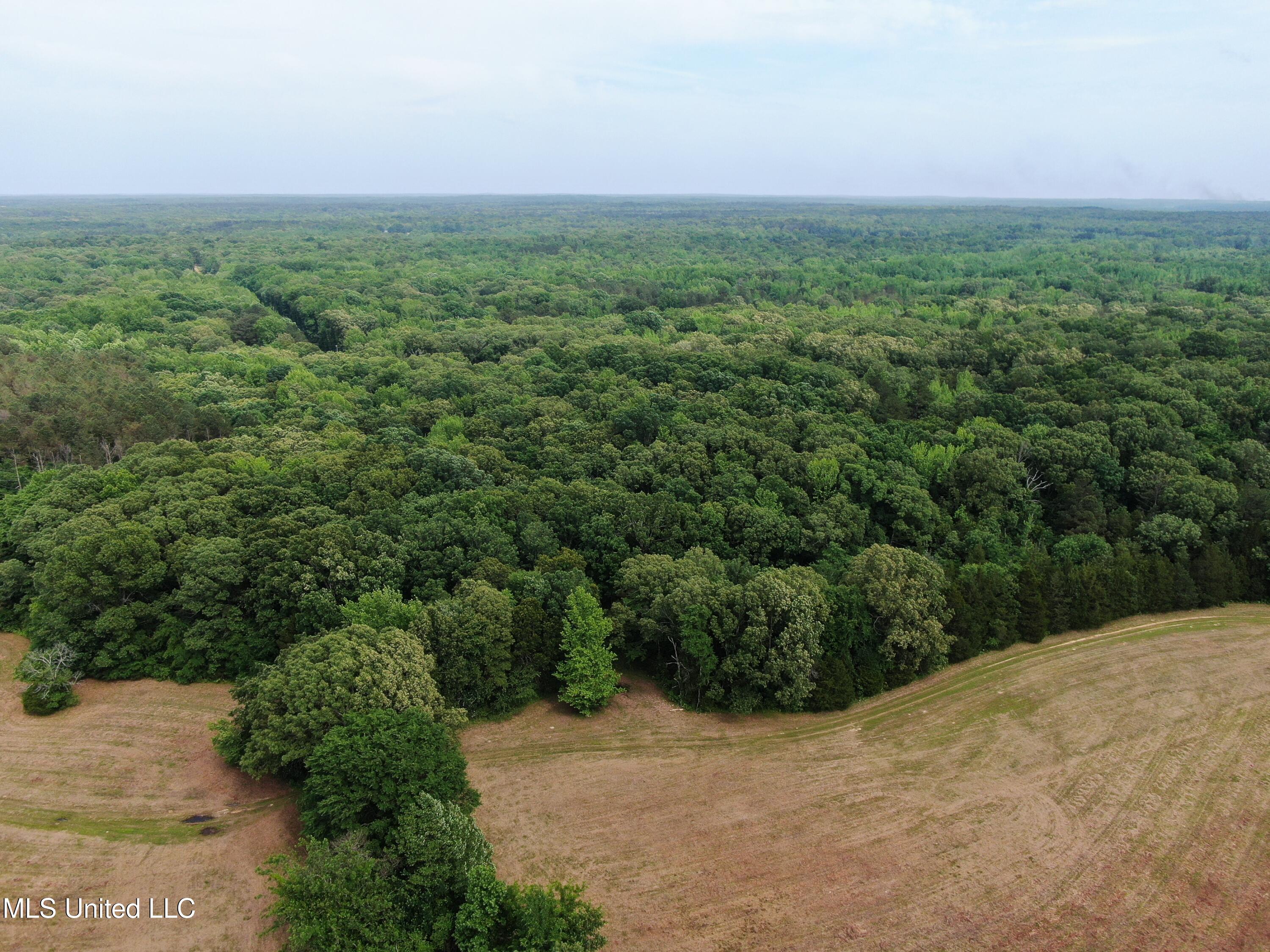 656 Sunset Drive Coldwater, MS 38618 - Photo 11 of 41 DJI_0587