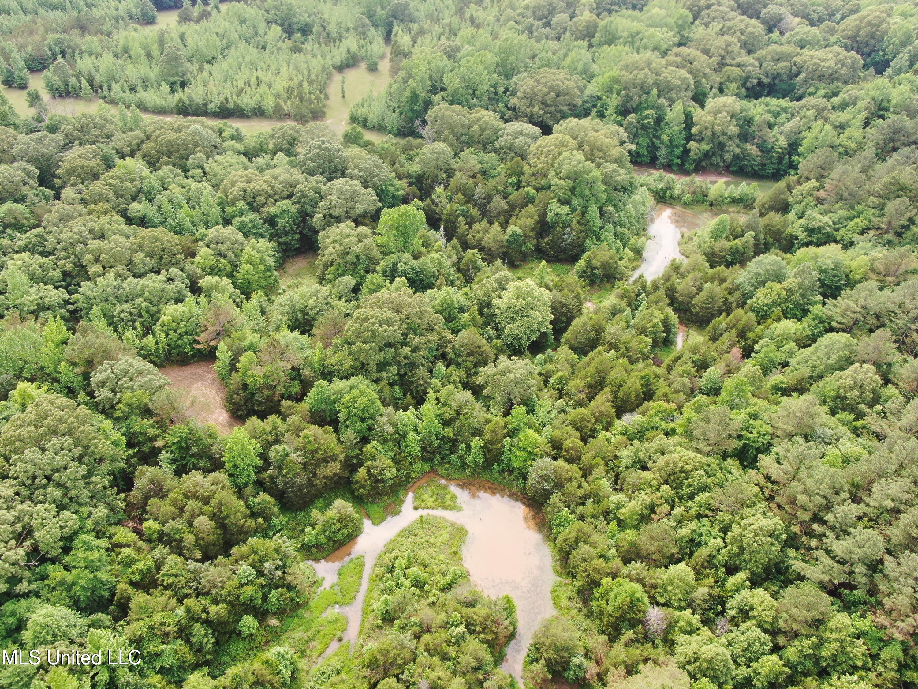 656 Sunset Drive Coldwater, MS 38618 - Photo 12 of 41 DJI_0589