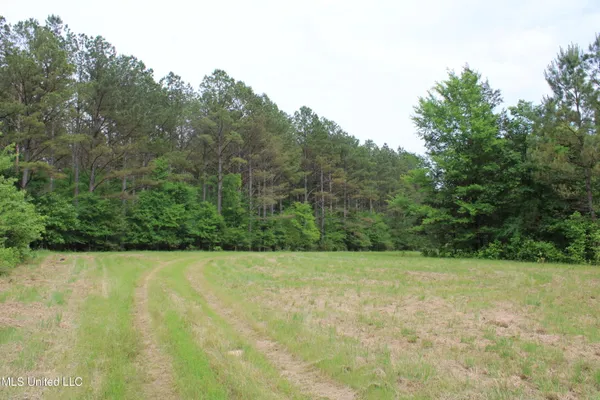 $640,500 | 656 Sunset Drive, Coldwater, MS 38618