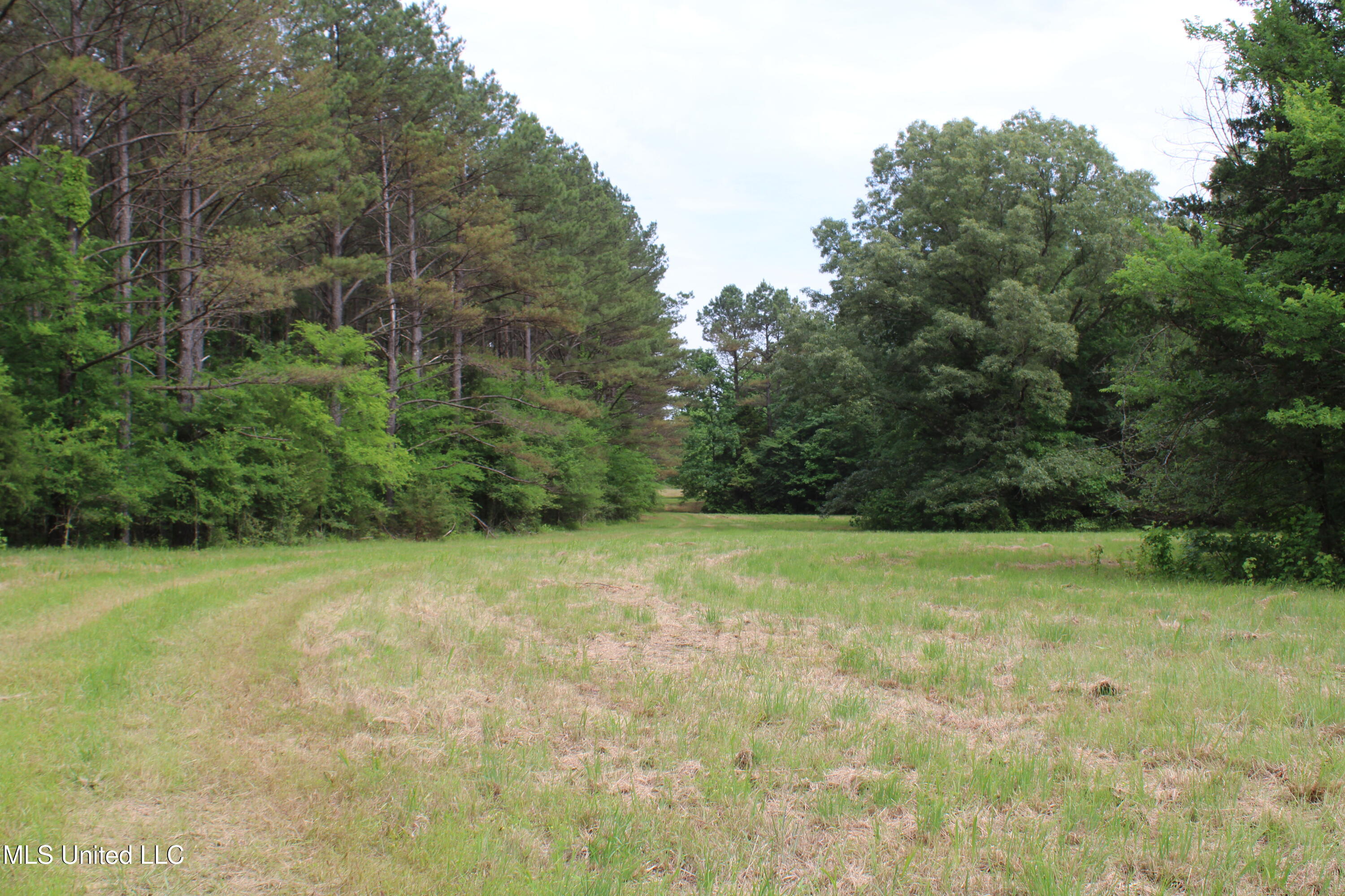 656 Sunset Drive Coldwater, MS 38618 - Photo 17 of 41 IMG_6113