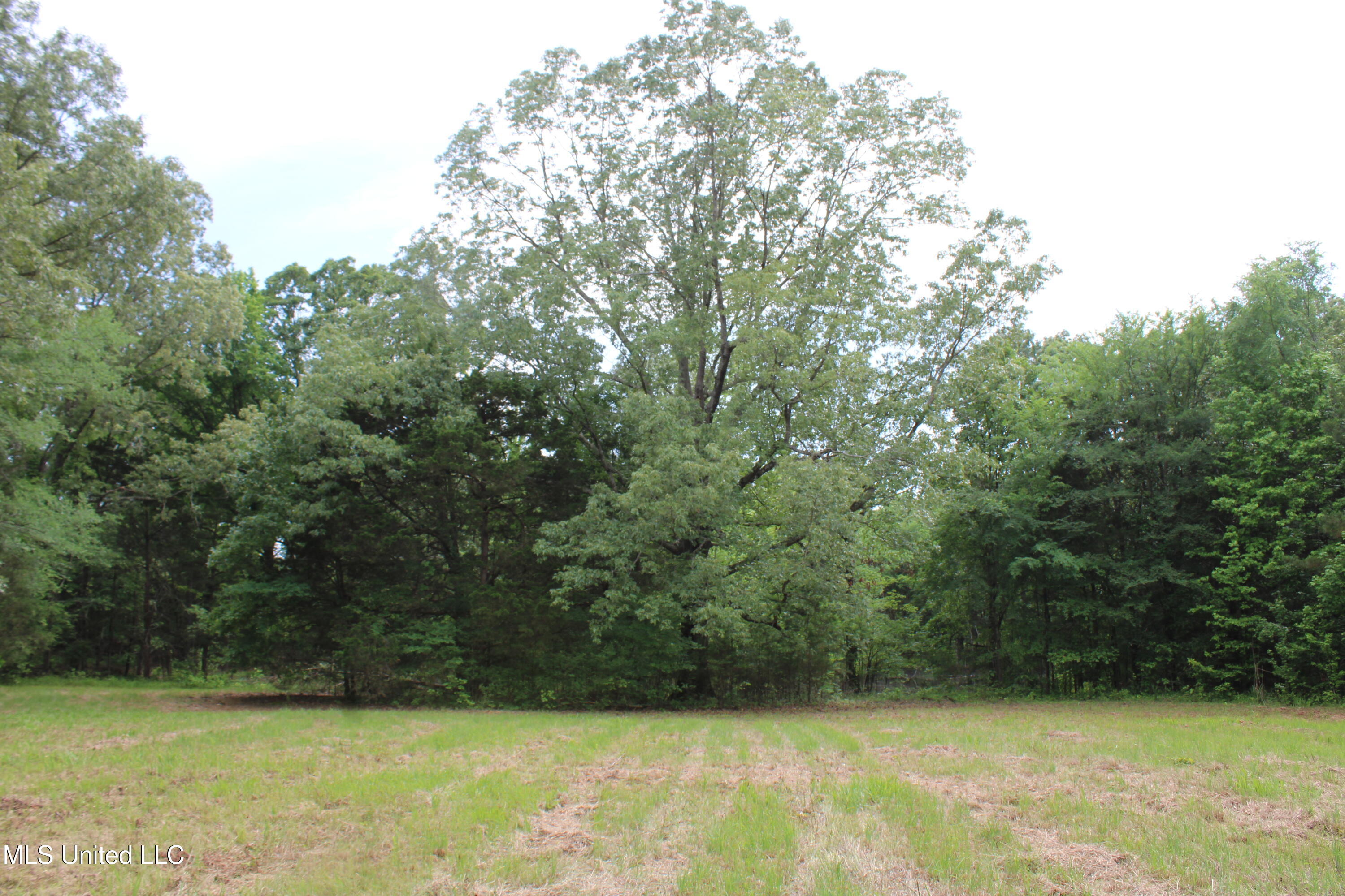 656 Sunset Drive Coldwater, MS 38618 - Photo 18 of 41 IMG_6114