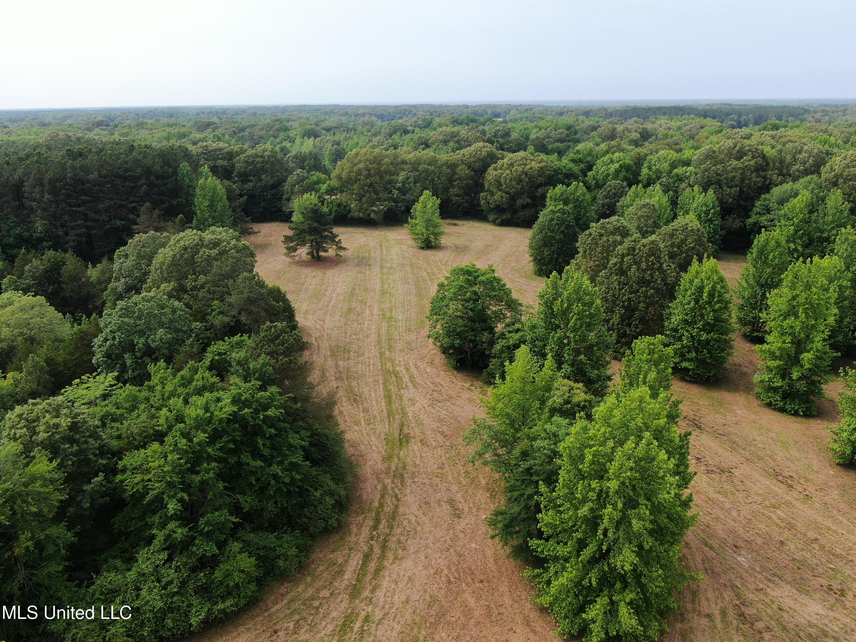 656 Sunset Drive Coldwater, MS 38618 - Photo 2 of 41 DJI_0575