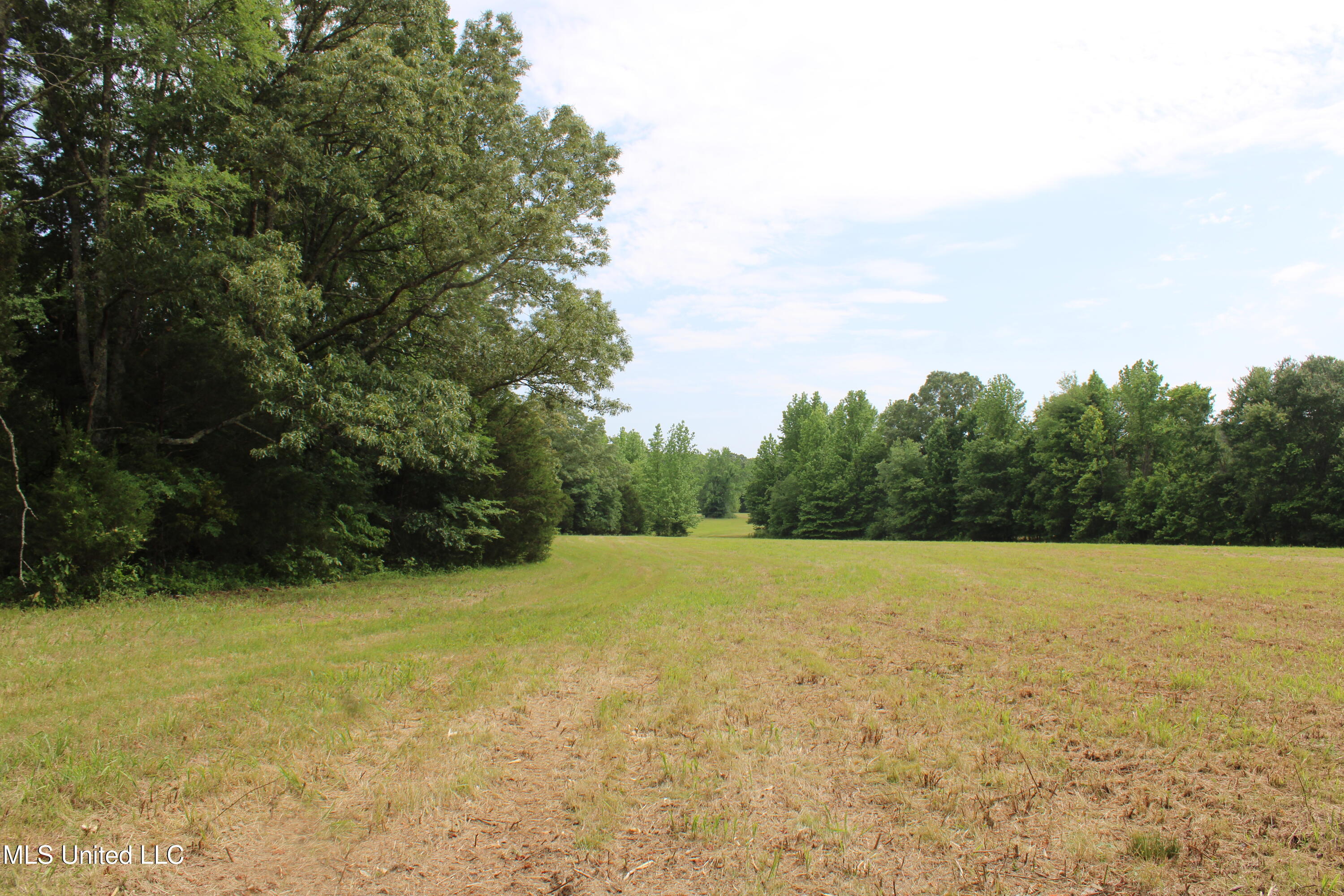 656 Sunset Drive Coldwater, MS 38618 - Photo 21 of 41 IMG_6117