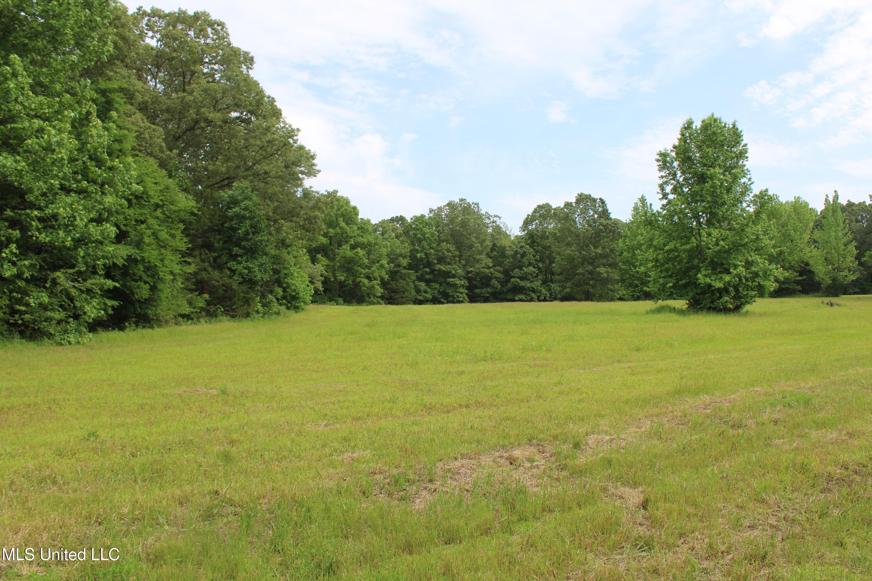 656 Sunset Drive Coldwater, MS 38618 - Photo 22 of 41 IMG_6118