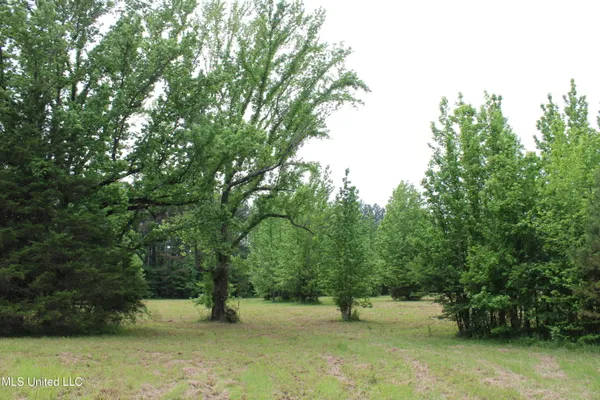 $640,500 | 656 Sunset Drive, Coldwater, MS 38618