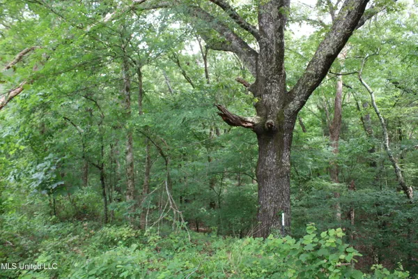 $640,500 | 656 Sunset Drive, Coldwater, MS 38618