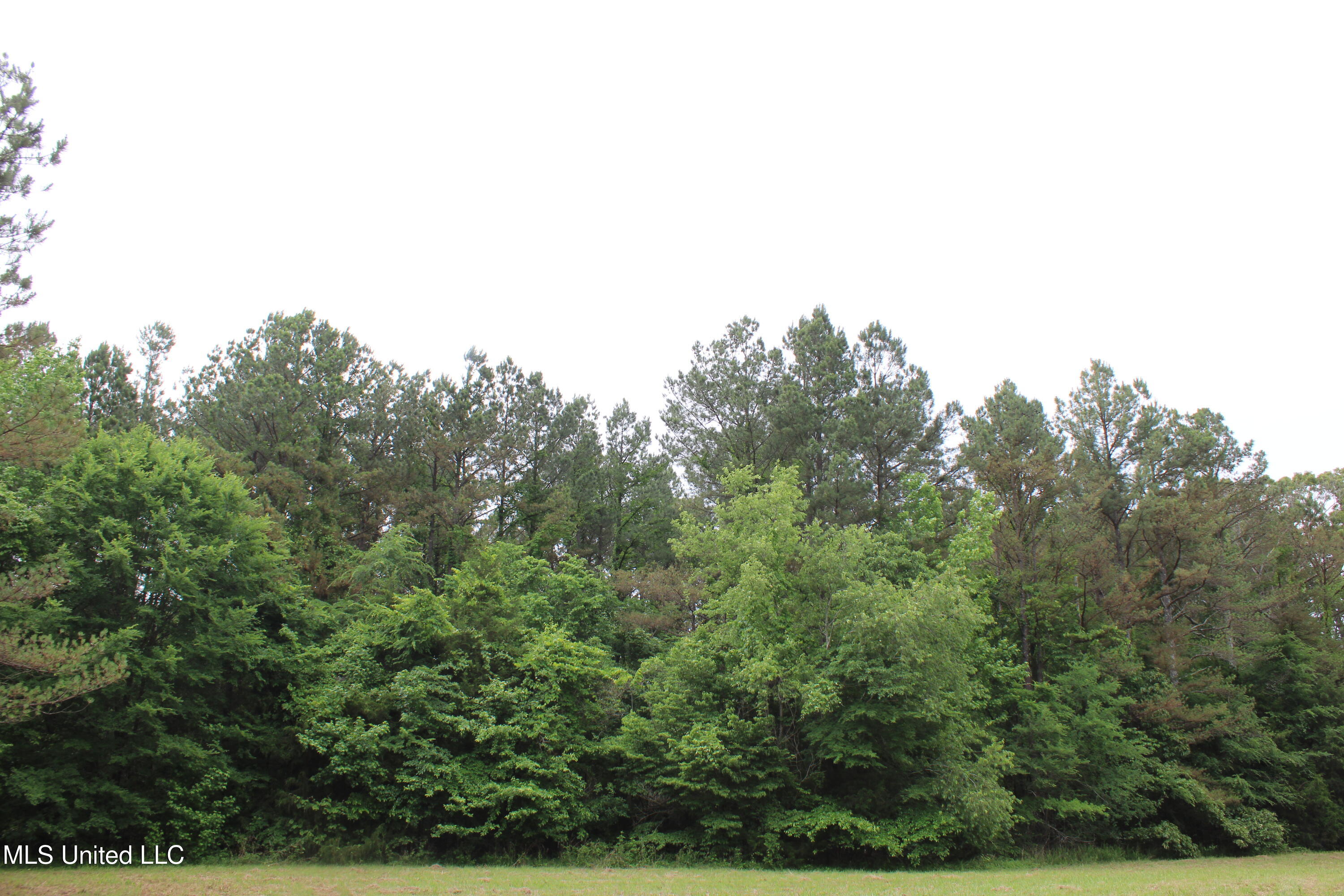 656 Sunset Drive Coldwater, MS 38618 - Photo 27 of 41 IMG_6123