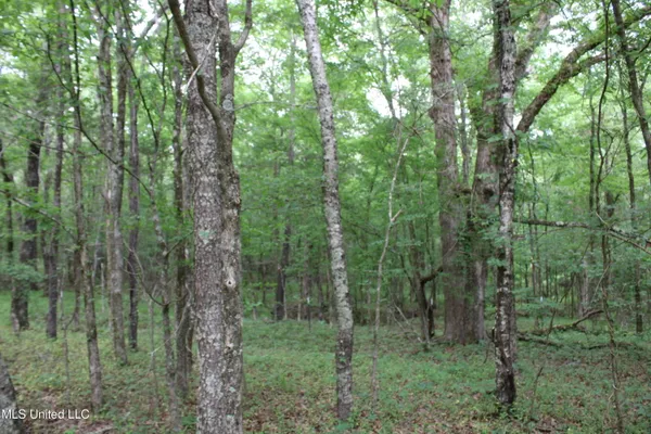 $640,500 | 656 Sunset Drive, Coldwater, MS 38618