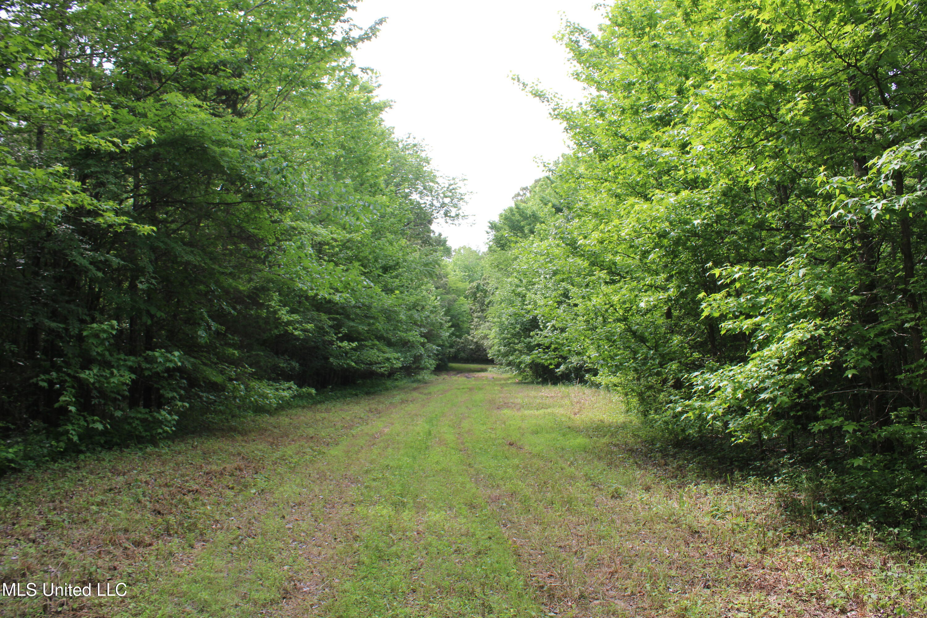 656 Sunset Drive Coldwater, MS 38618 - Photo 29 of 41 IMG_6125