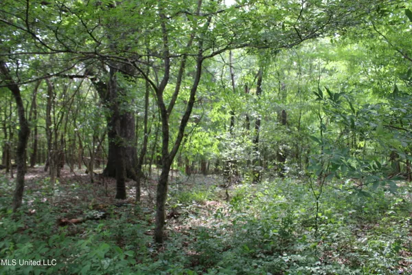 $640,500 | 656 Sunset Drive, Coldwater, MS 38618