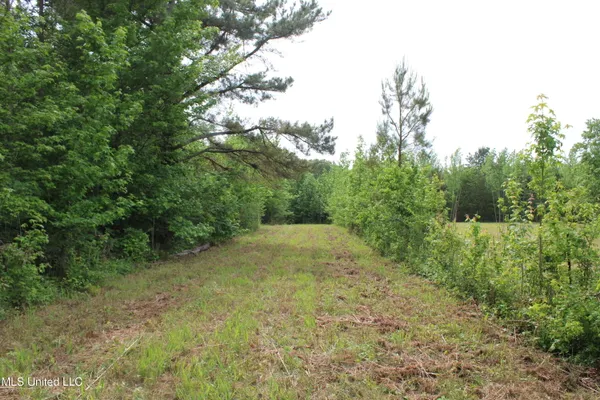 $640,500 | 656 Sunset Drive, Coldwater, MS 38618