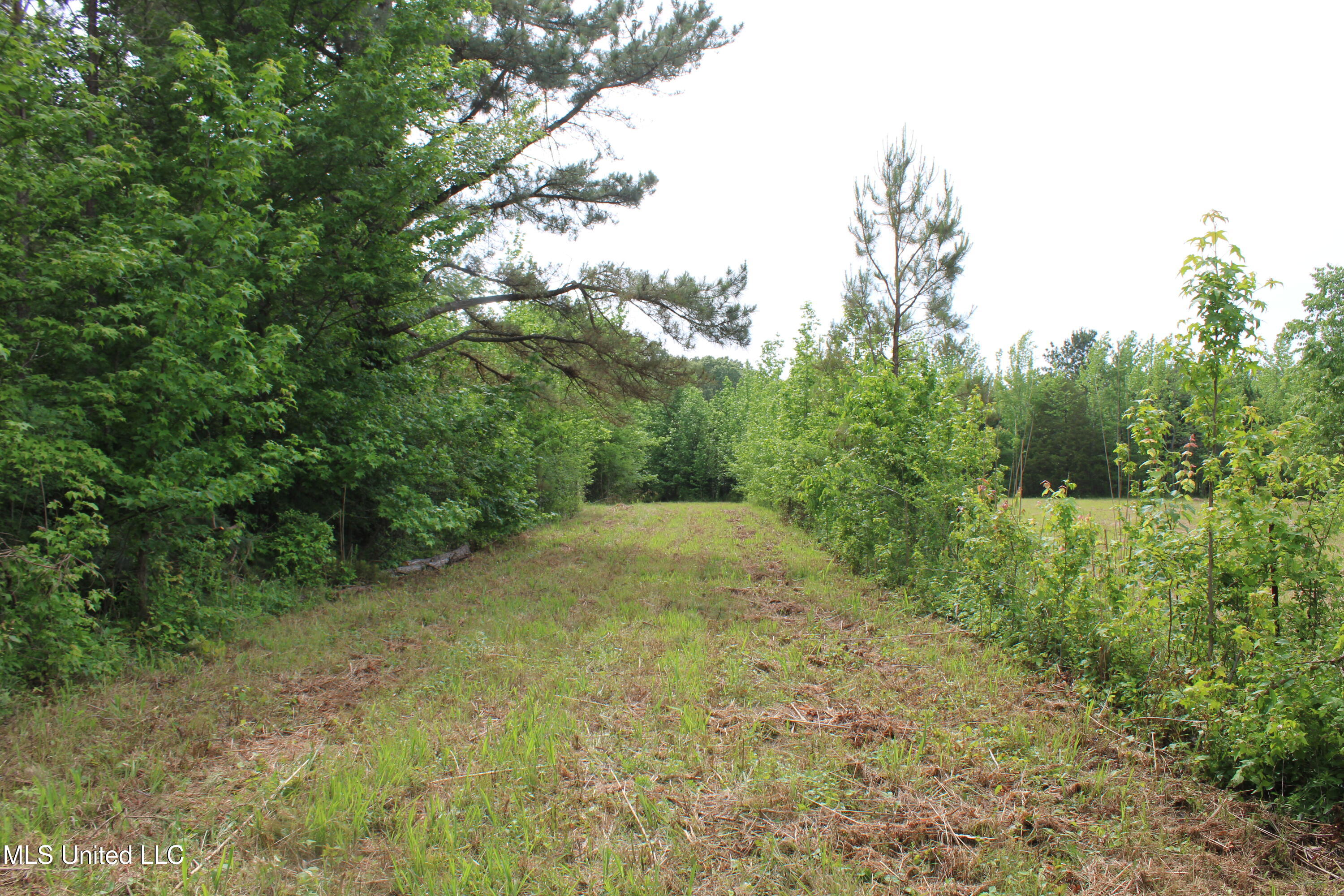 656 Sunset Drive Coldwater, MS 38618 - Photo 31 of 41 IMG_6128