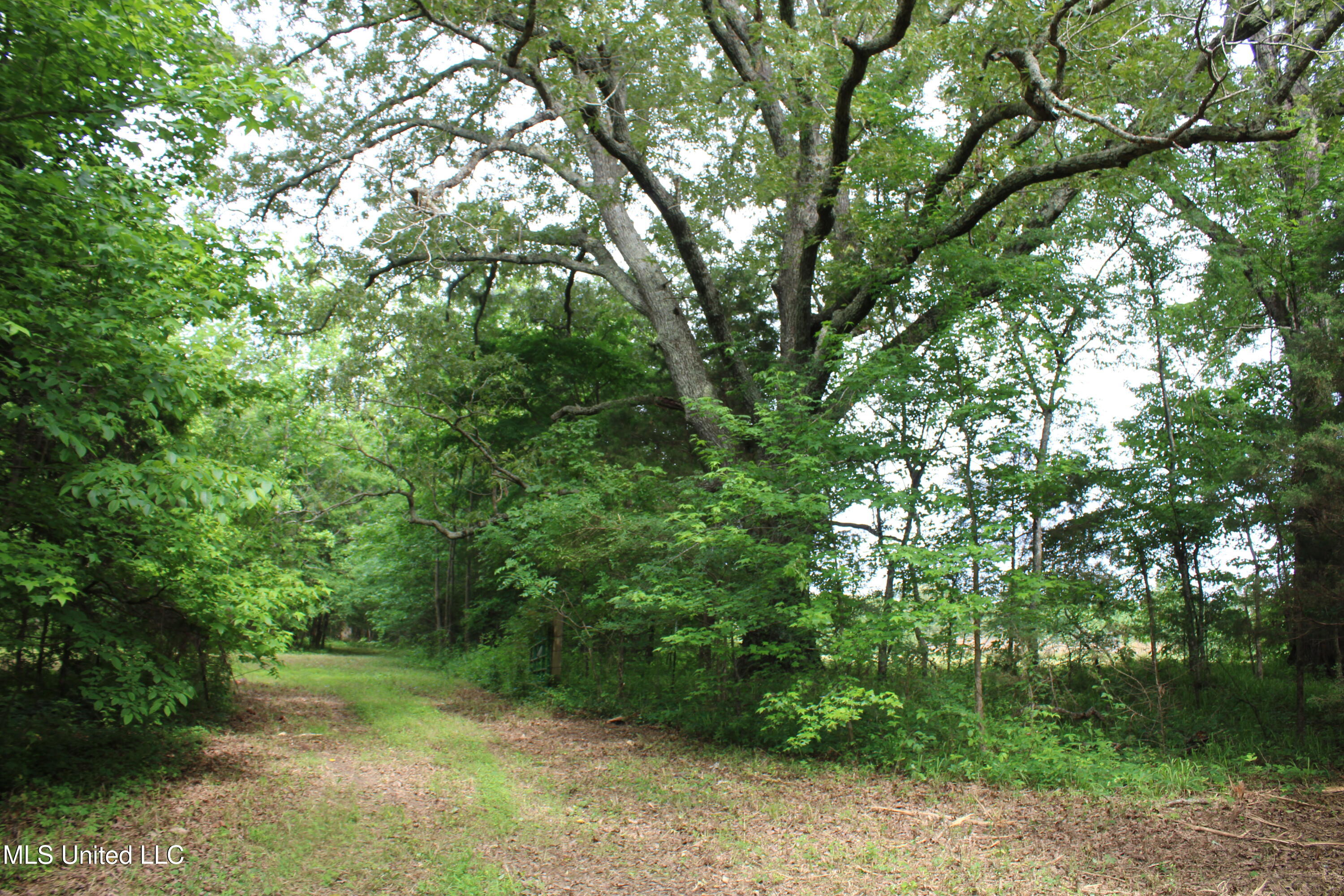 656 Sunset Drive Coldwater, MS 38618 - Photo 34 of 41 IMG_6131