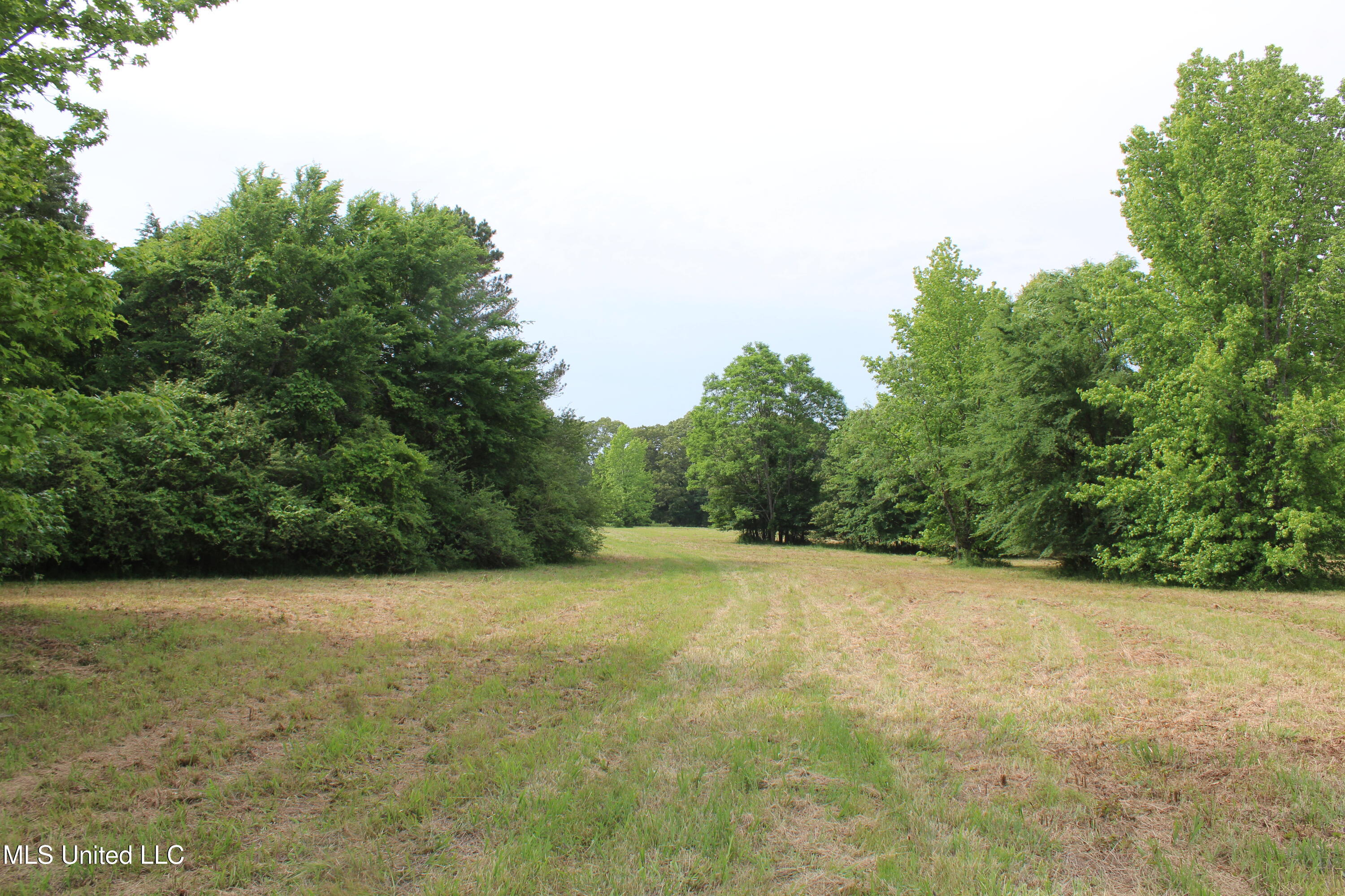 656 Sunset Drive Coldwater, MS 38618 - Photo 36 of 41 IMG_6133